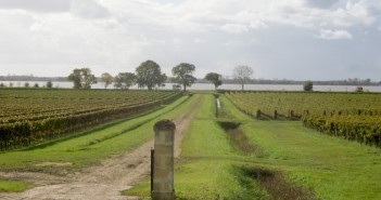 Les vins de bordeaux Côtes de Blaye,
