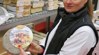 Bruel&Fils, fromager à Rungis bruel_nectair