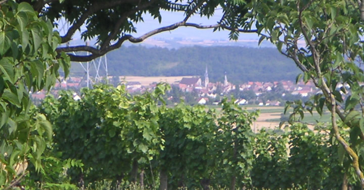 En arrière-plan, le village de Saint-Pourçain