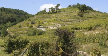AOC Saint-Peray stPeray_chaboud