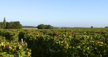Le touraine Grandes Espérances des frères Saget Terroir des Grandes Espérances en Touraine