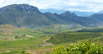 Vins de Maury AOC Maury en val d'Agly