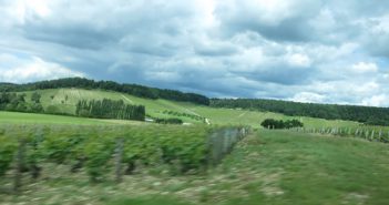 Champagne : les Vignerons Indépendants jouent l’environnement champvu