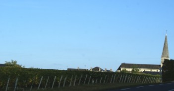 salon des Vins de Loire – février 2009 : la tentation de la mondialisation