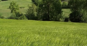 Agriculture française : Et le bio ?