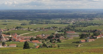 Beaujolais 2013, l’amorce de la résurrection