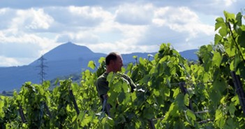 Roland et Catherine Royet, vignerons au-dessous du Volcan