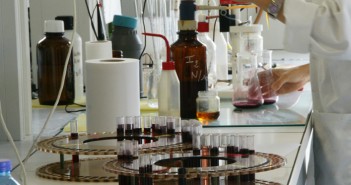 OenoTeam travaille des levures pour répondre à la quête de «pureté» bordelaise