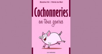 Cochonneries en tous genres : 28 nouvelles charcutières.