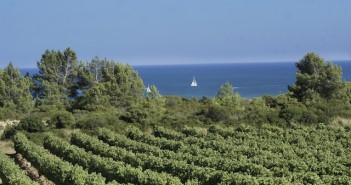 Jacques Boscary, le “bon père de famille” du château Rouquette-sur-Mer