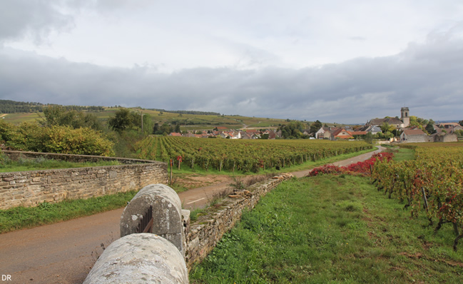 bourgogne_flaves