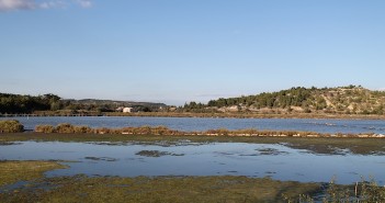 Vins du Languedoc, Fitou le précurseur