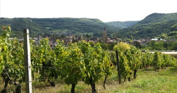 Vins du Jura