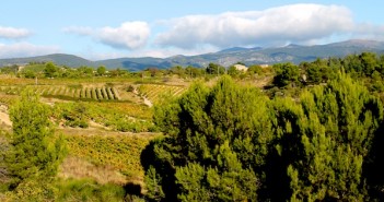 Le Languedoc aborde 2014 avec le vent en poupe.