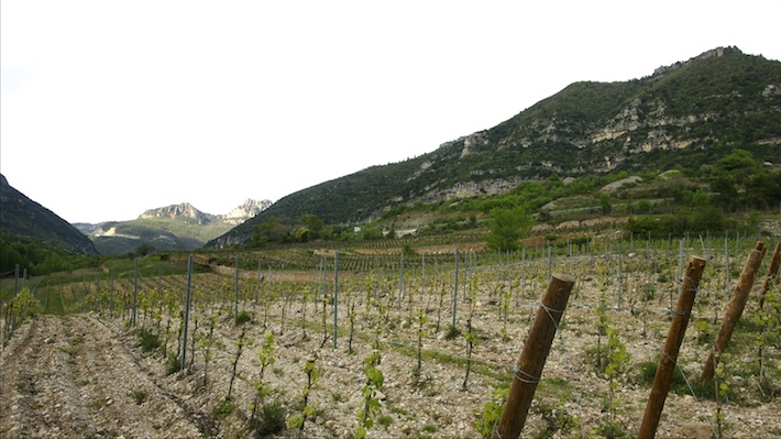 Terrasses du Larzac