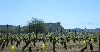 Bourgogne, Mâcon