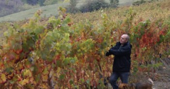 Alain Montrozier, vigneron millavois