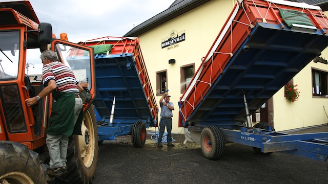 Le nettoyage des bennes pendant les vendanges