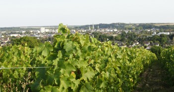 Coteaux-du-vendômois : le vin du Pineau d’Aunis