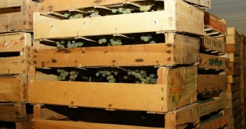 Vin de Paille jurassien