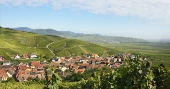 AOC Alsace