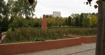 Vignes à Bercy : les chais de Bercy