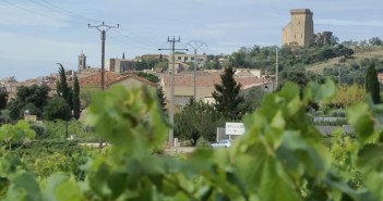 Le cru Châteauneuf-du-pape