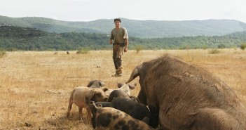 Cochonnet du Larzac