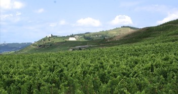 AOC Crozes-Hermitage