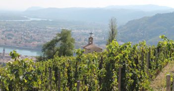 AOC Hermitage, petit terroir mais grande histoire.
