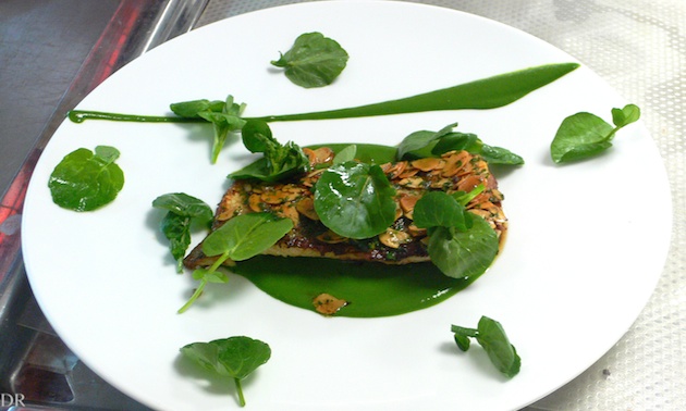 julien-boscus-fera