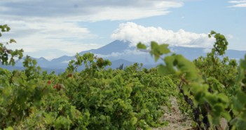 AOC Vinsobres