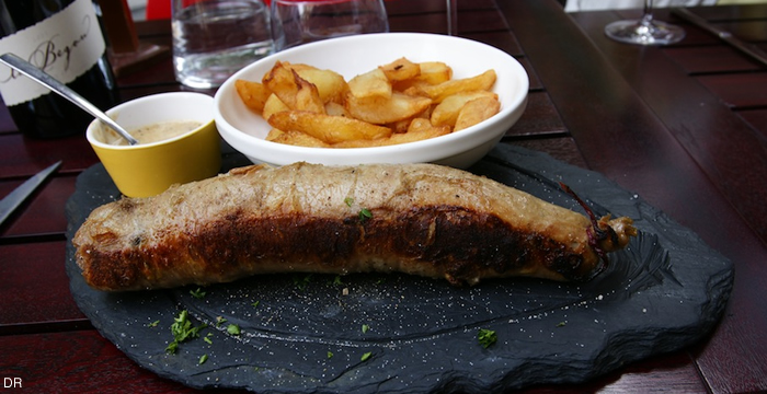 andouillette