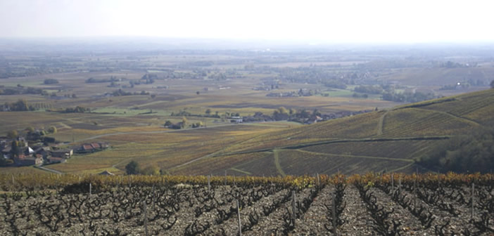 automusée du beaujolais film