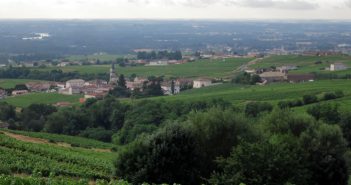Chénas cru du beaujolais