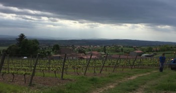 Côte roannaise