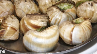 escargot_turc