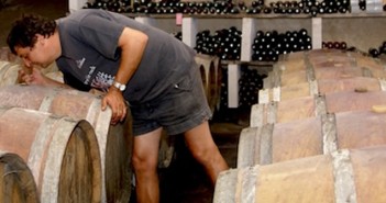 Le Fronton Domaine du Roc d’Eric Ribes