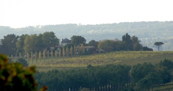 Bordeaux l’AOC Graves
