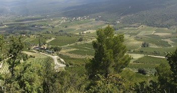 Pas encore très clair le vin de pays de Méditerranée