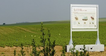 La Ferme Leprince, “ferme référence” de McDonald’s et de McCain