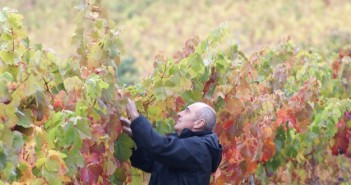 Côtes de Millau, le vin des causses