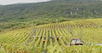Les vignerons lunaires du Château de Mérande