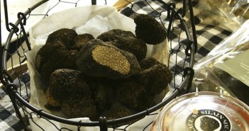 La Truffe d’été pour compenser le déclin des cèpes ?