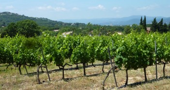 Coteaux Varois en Provence AOC