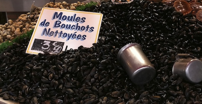 moules-bouchot