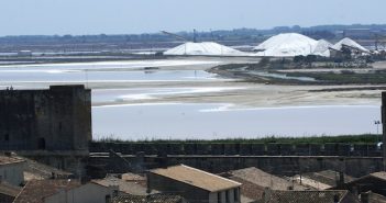 Le sel de Camargue