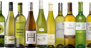 Sélection de côtes de Gascogne 2015