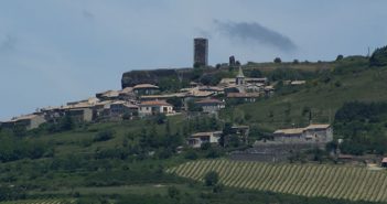 Vins ardéchois, diversité du choix…
