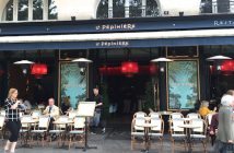 Dans la jungle de la Pépinière….